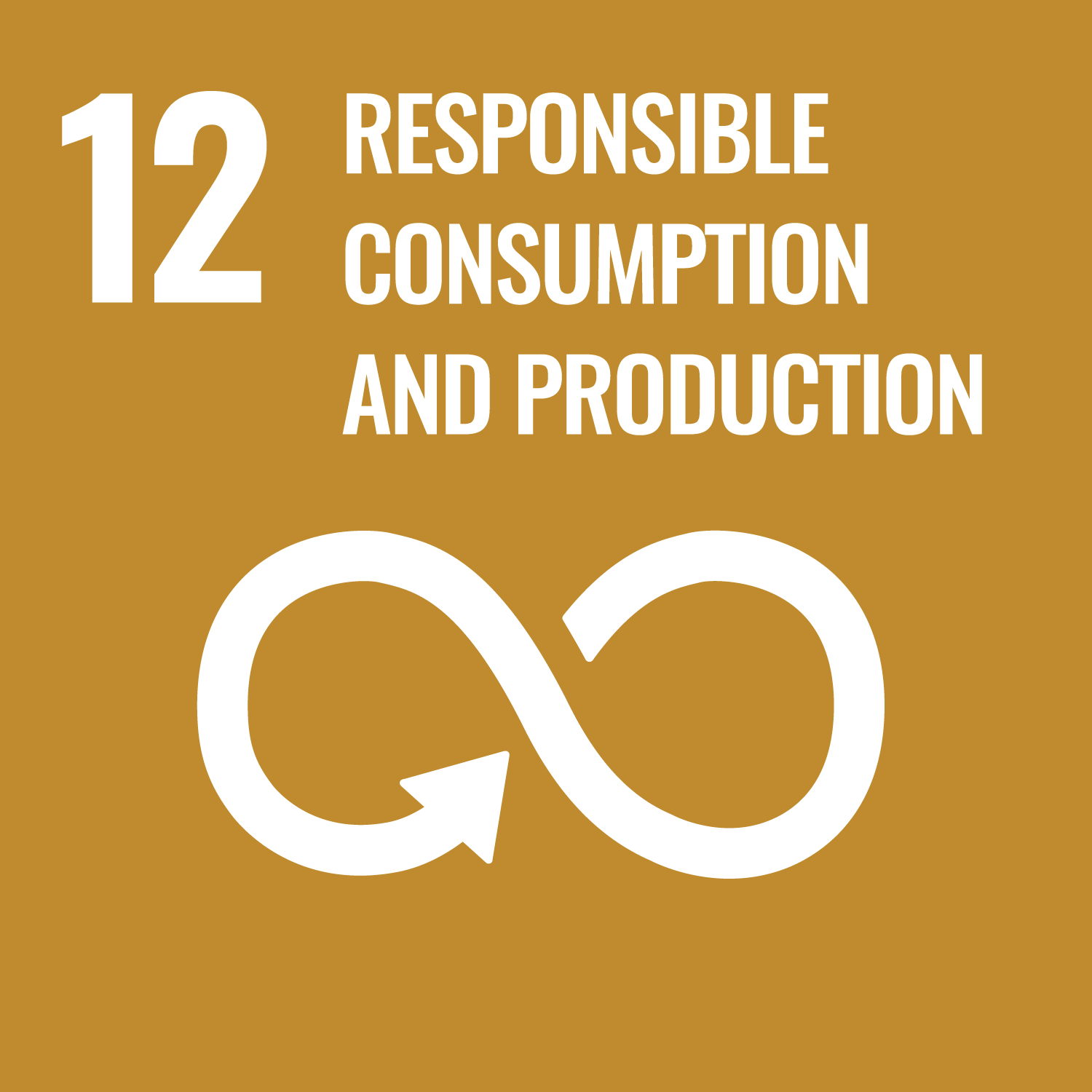 GOAL 12: Responsible Consumption and Production GOAL 12: Responsible Consumption and Production